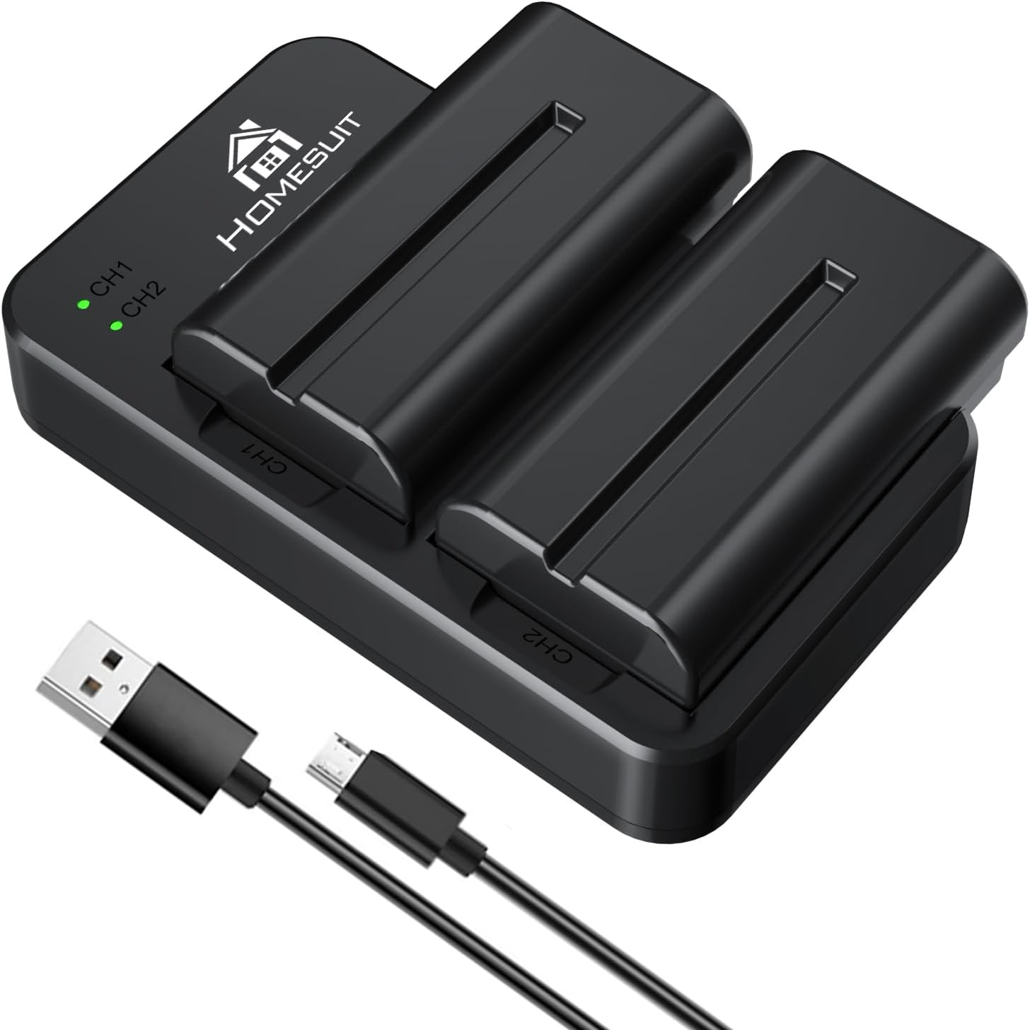 Detalle de Homesuit NP-F550 2900mAh battery kit