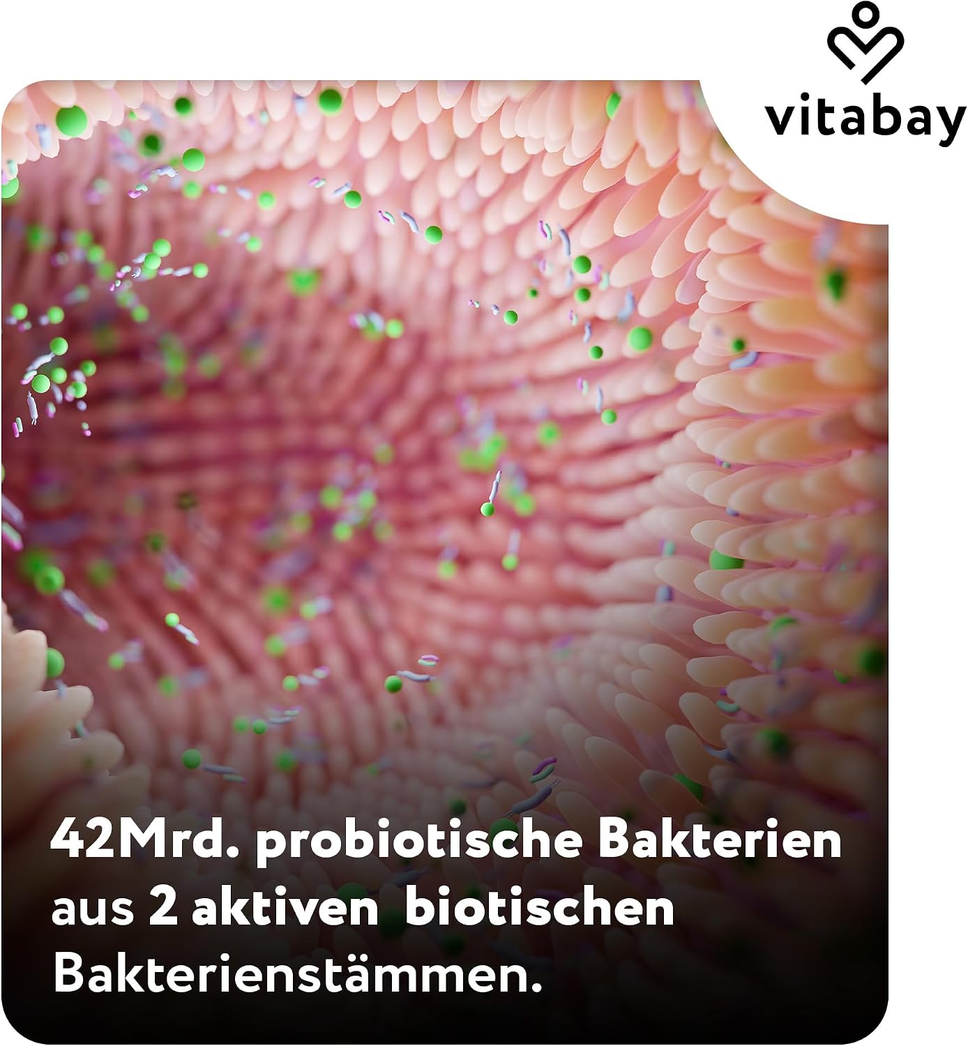 Thumbnail 4 de Vitabay Bifidyn – Bifidobakterien-Kulturen, 3 Milliarden pro Kapsel, 120 vegane Kapseln