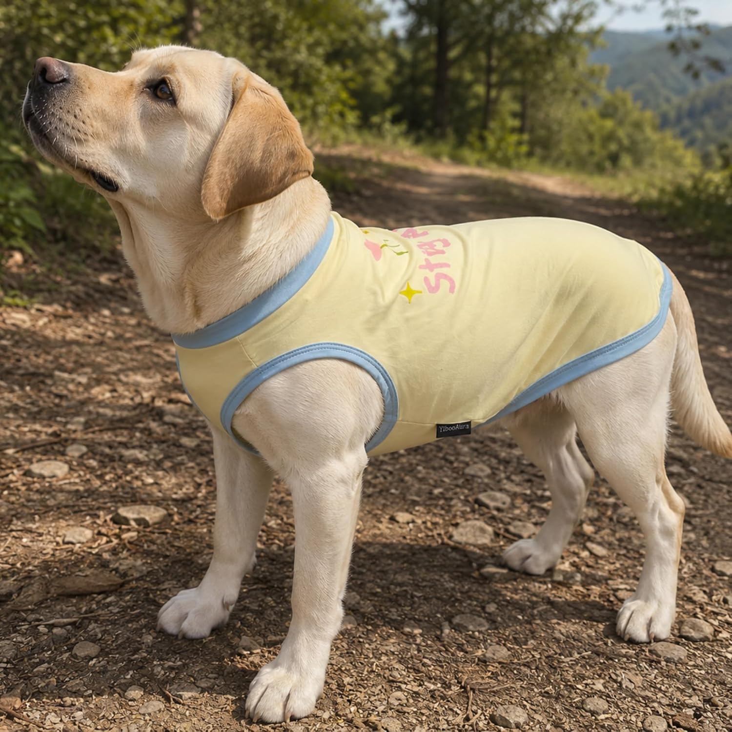 Thumbnail 6 de Dog Cooling Shirt, Size L