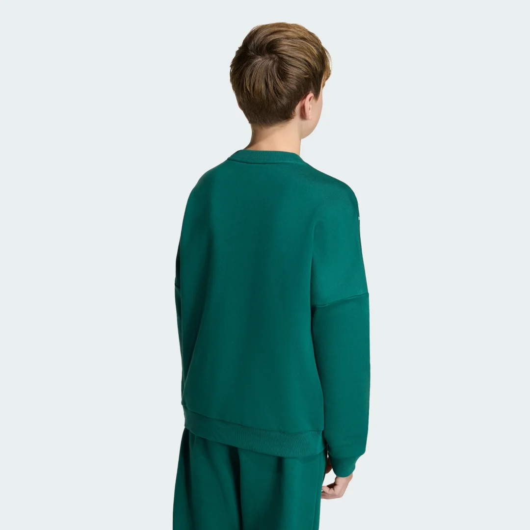 Detalle de Sudadera de cuello redondo holgada BLOCKED de Adidas – Verde