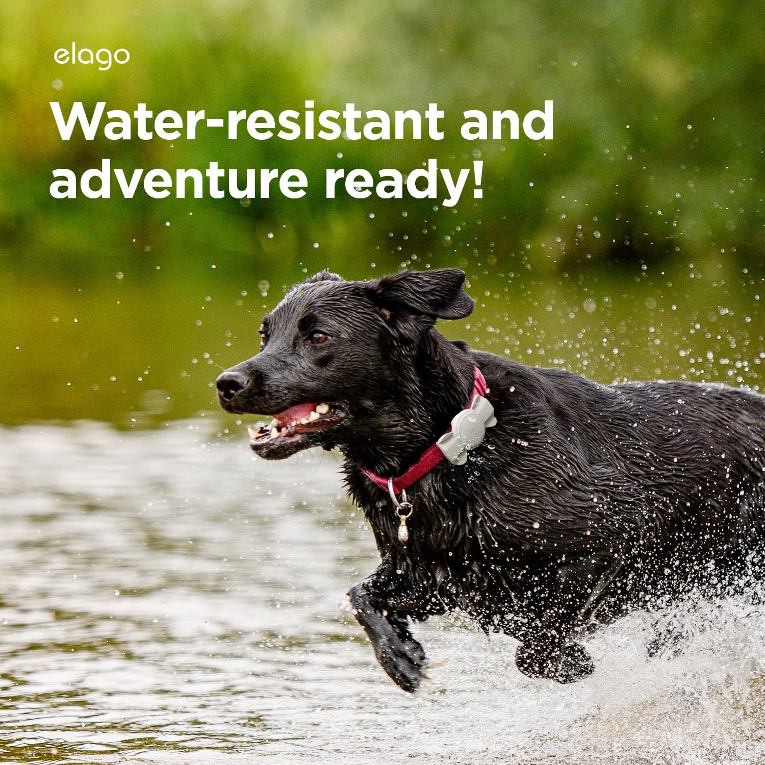 Thumbnail 3 de Coque ruban elago pour collier avec boucle pour Apple AirTag (compatible 2e & 1re génération) – Pierre (dispositif de suivi non inclus)