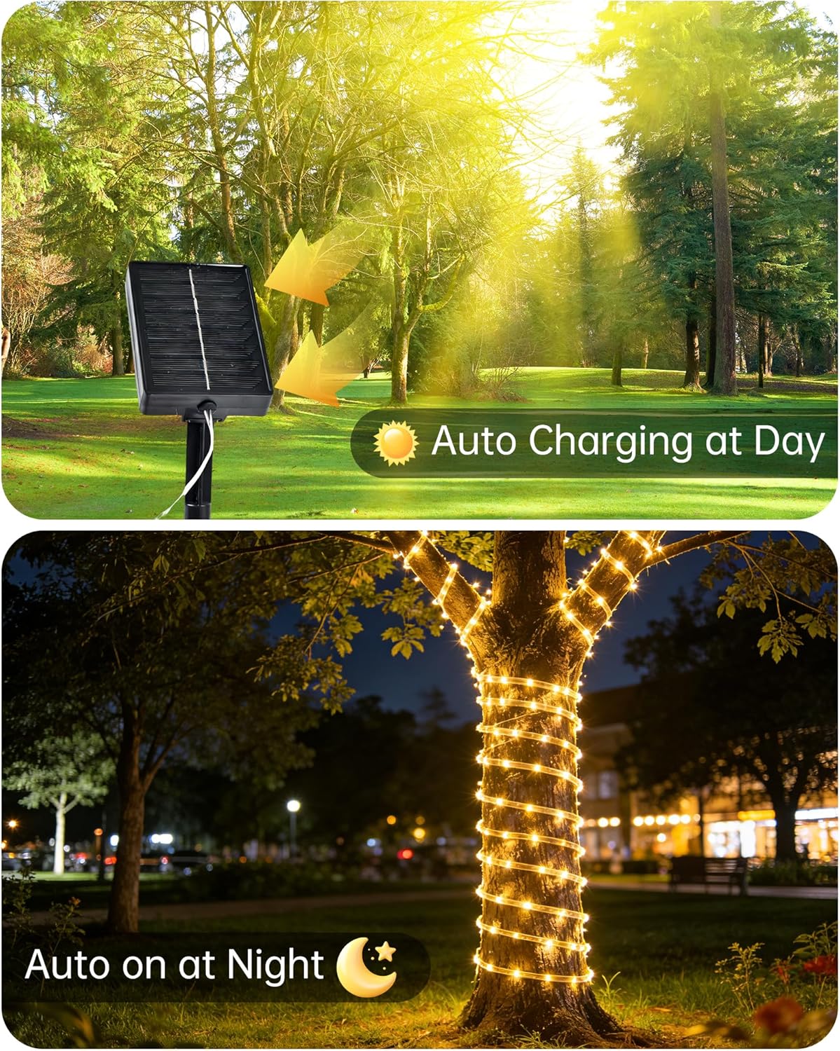 Thumbnail 1 de Tacobey Solar Rope Lights Outdoor – 32.8ft, 100 LED with Timer and 8 Modes