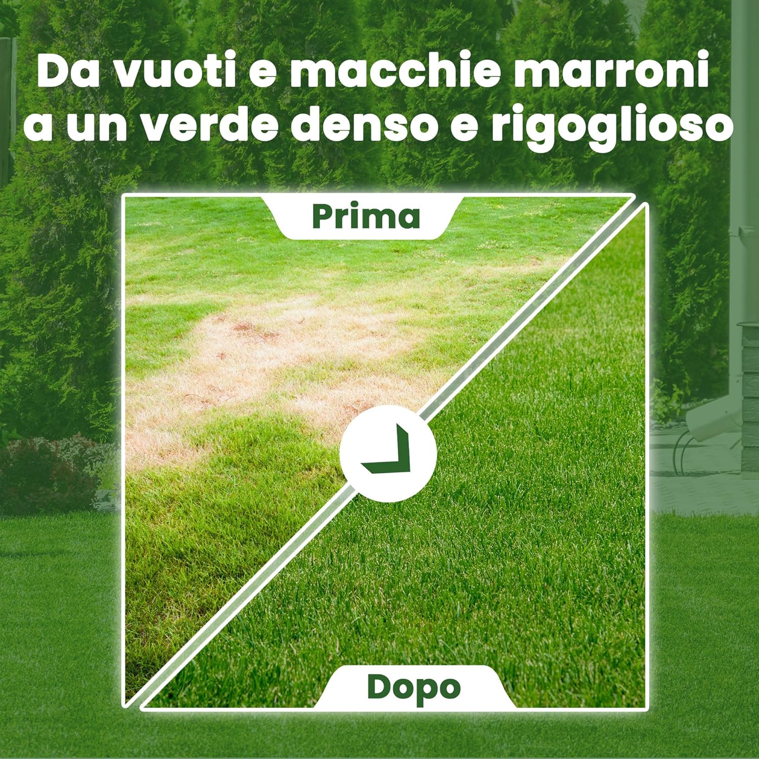 Thumbnail 6 de LERAVA® EXPRESS semi prato crescita rapida (30m²) – Giflo di prato resistente e verde tutto l’anno