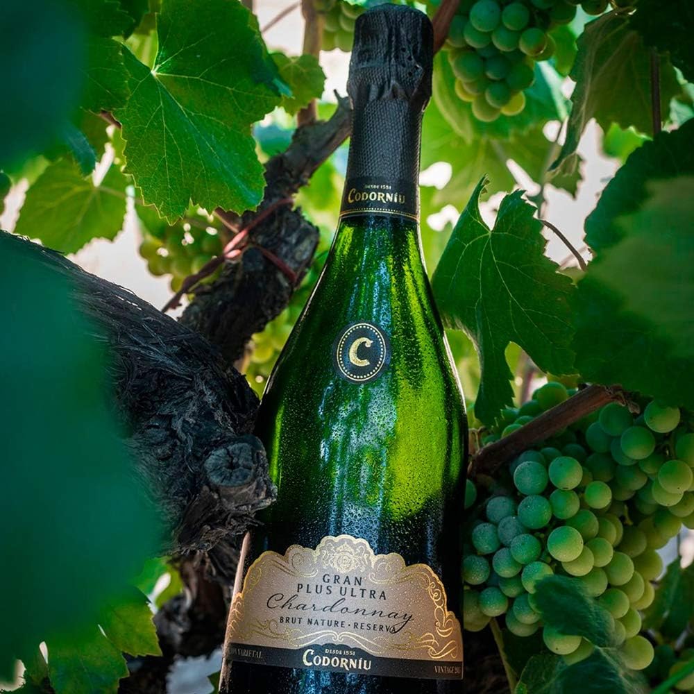 Thumbnail 6 de Codorniu Gran Plus Ultra, Brut Nature 100% Chardonnay 🍾 0.75 L