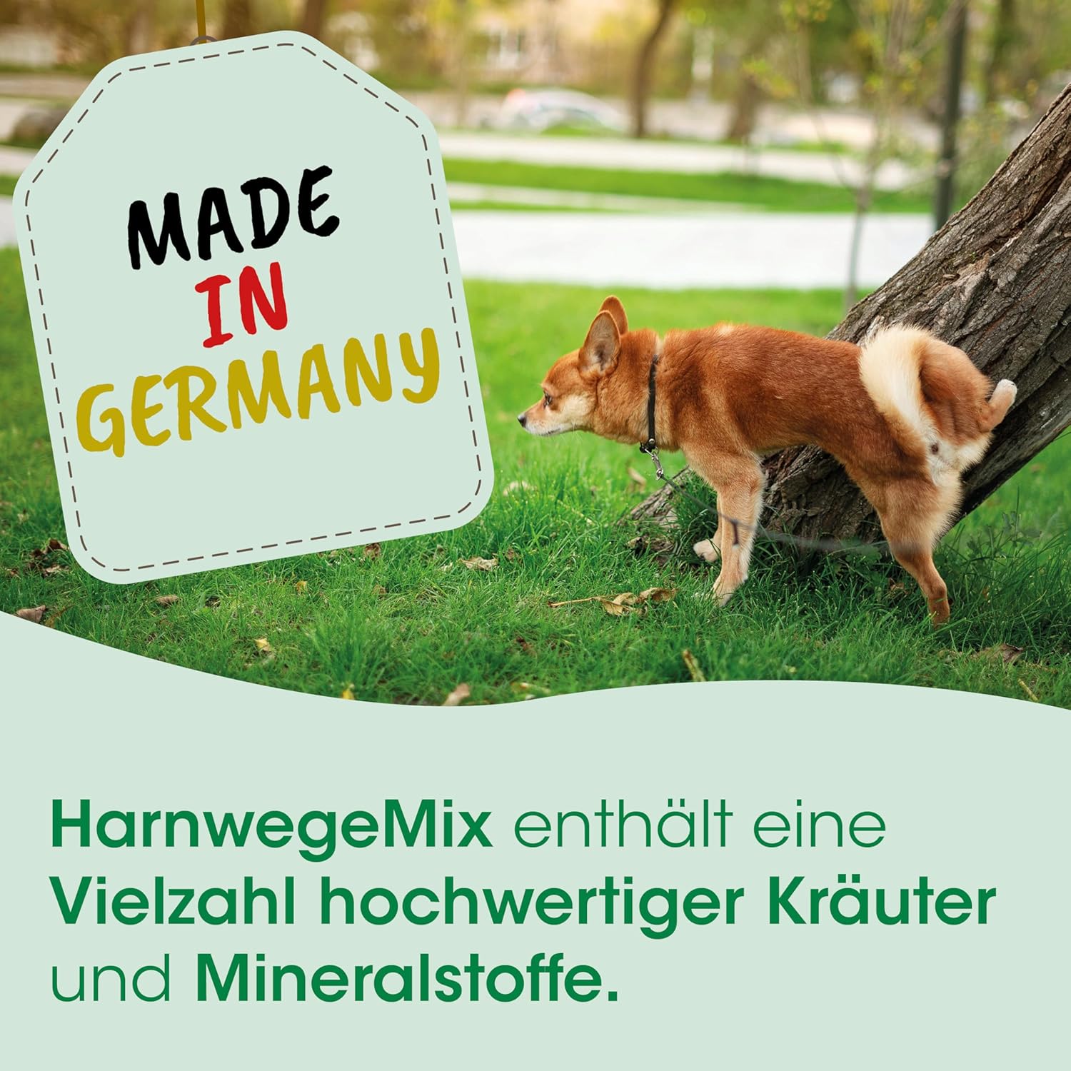 Detalle 2 de cdVet HarnwegeMix 30 g Ergänzungsfuttermittel 🐾