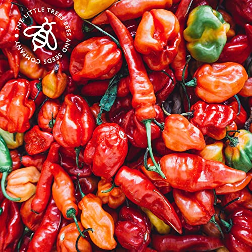 Detalle de Gardening Gifts Heirloom Chilli Pepper Seed Kit – 8 Varieties from The Little Trees Bees & Seeds Company