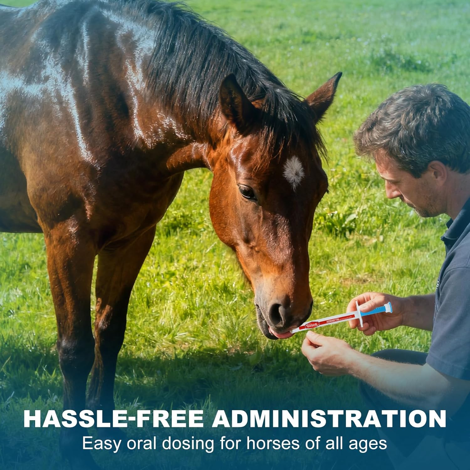 Thumbnail 2 de QZQAB Ivermectin Equine Paste (Model QZQAB), 1.87%, Apple-Flavored, 6-Pack