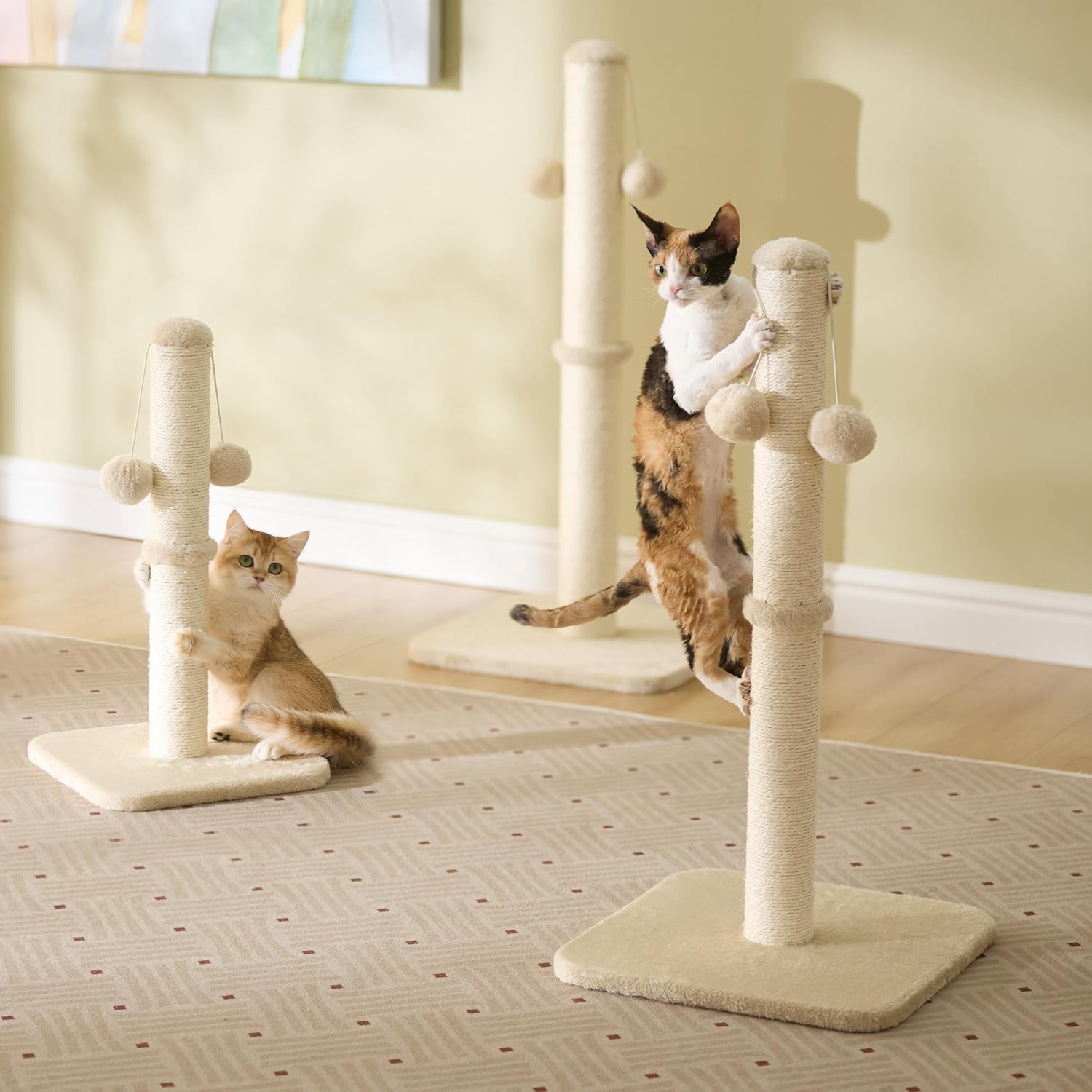 Thumbnail 4 de Lesure Kratzsäule Mittelgroß für Indoor-Katzen (36 × 36 × 74 cm) mit hängendem Spielball, Sisalseil & stabiler Basis – Beige