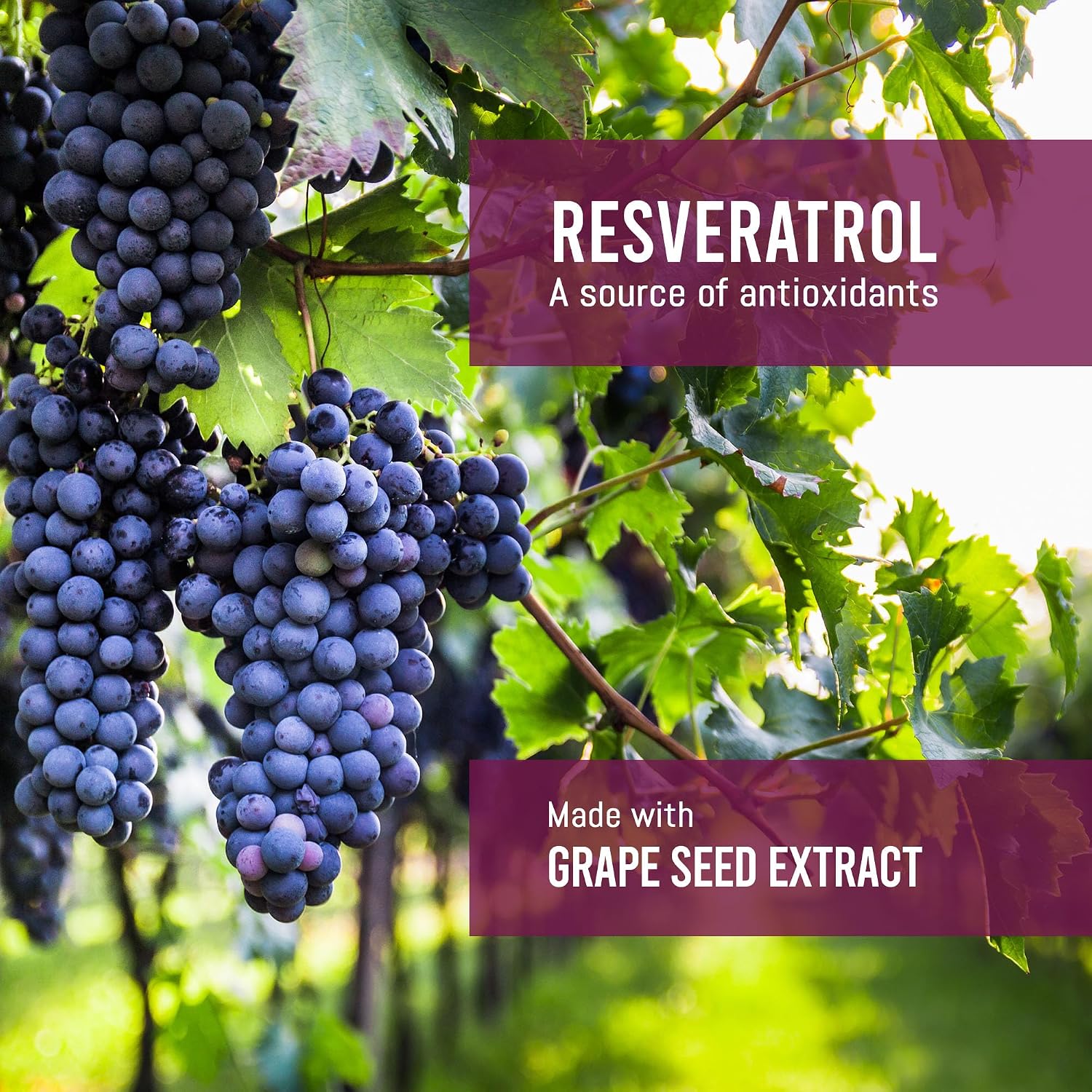 Detalle de EBYSU Resveratrol Supplement, 60 Vegan Capsules