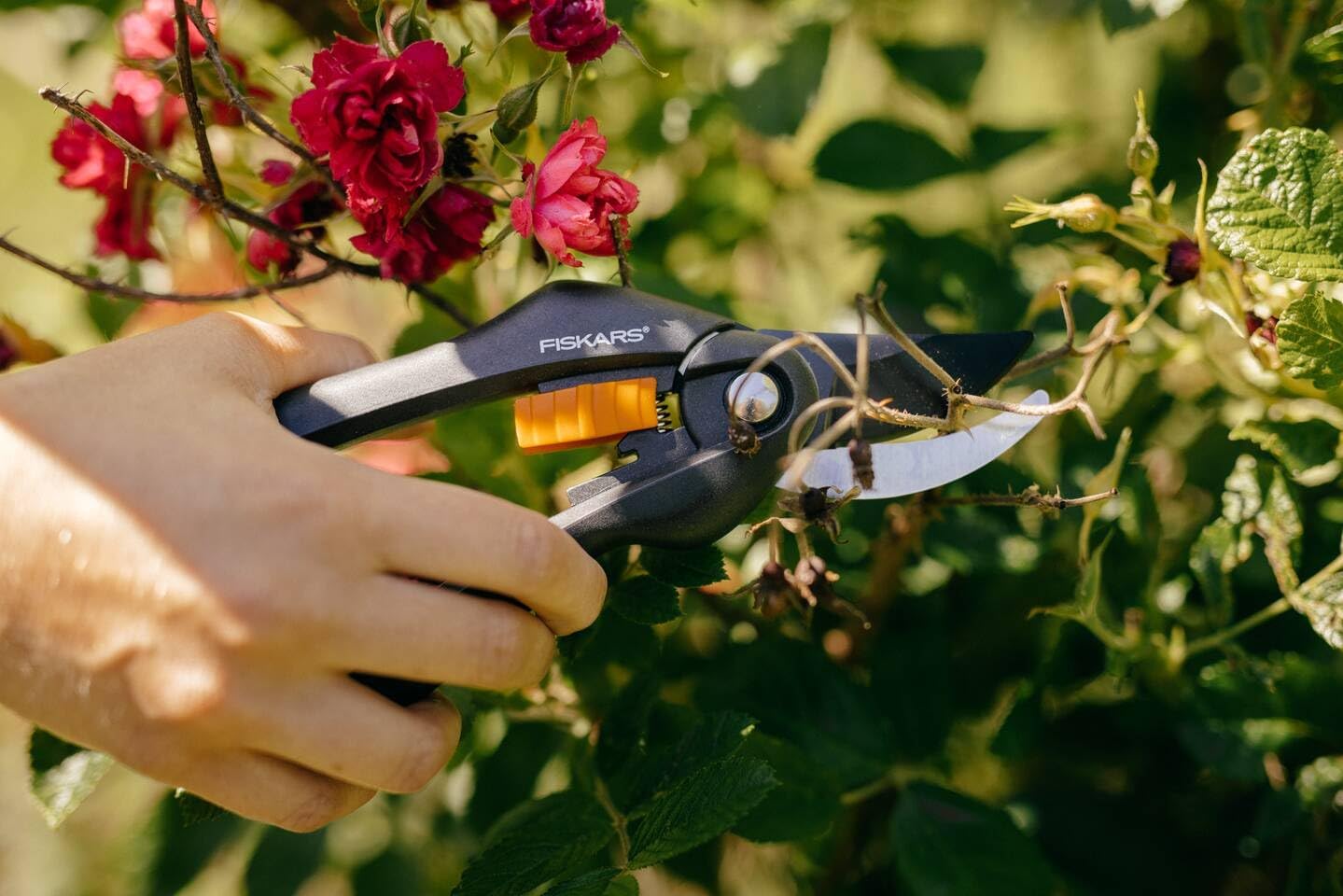 Detalle de Fiskars Bypass-Gartenschere P26 – 20 cm, Antihaftbeschichtet, für frische Äste bis Ø 2,2 cm