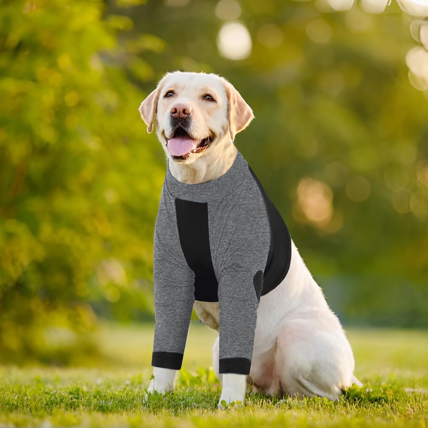 Thumbnail 6 de LeLePet Dog Surgical Bodysuit: Front Leg Recovery Wear for Wound Protection