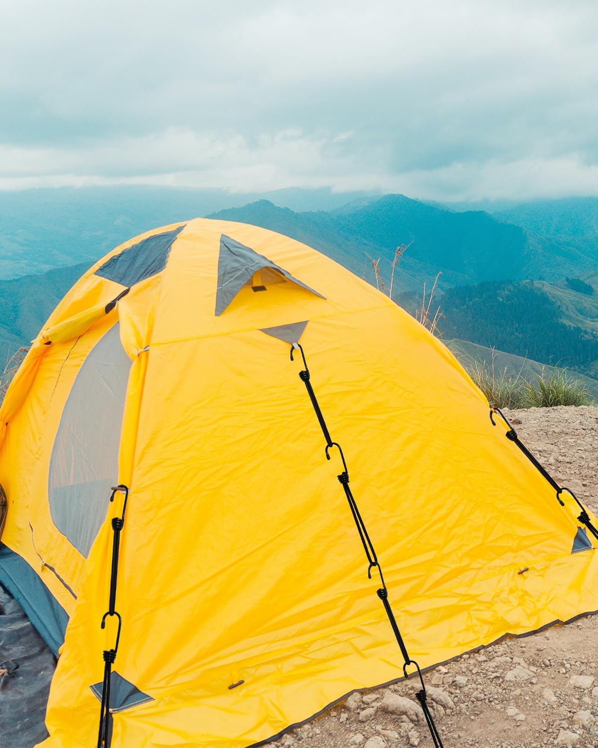 Thumbnail 3 de BINCKIN Spanngummi mit Haken, 20 cm (12 Stück) – Gummispanner für Planen, Netze & Poolabdeckung