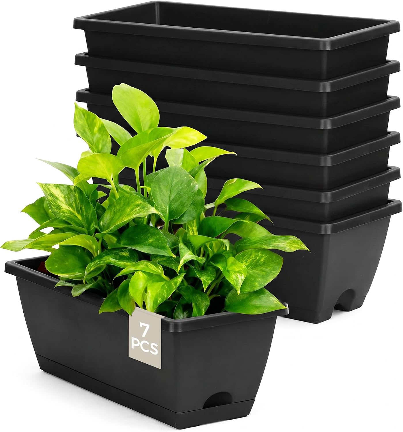 Detalle de Bamworld Set di 7 Fioriere da Finestra Rettangolari 42 cm con Foro di Drenaggio e Sottovaso