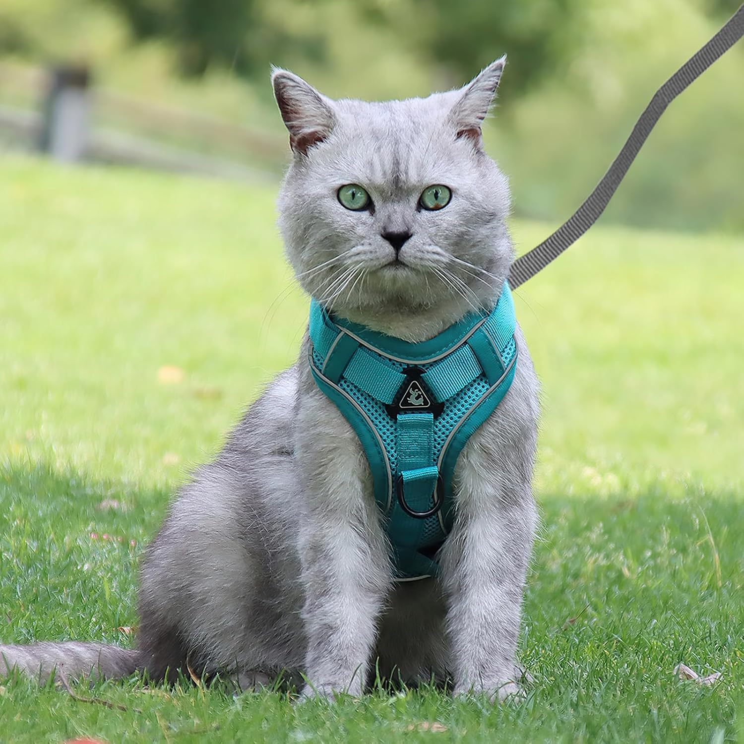 Thumbnail 6 de Cat Harness and Lead Set: Escape-Proof Kitten Harness with 5m Retractable Lead (Blue, Size S)
