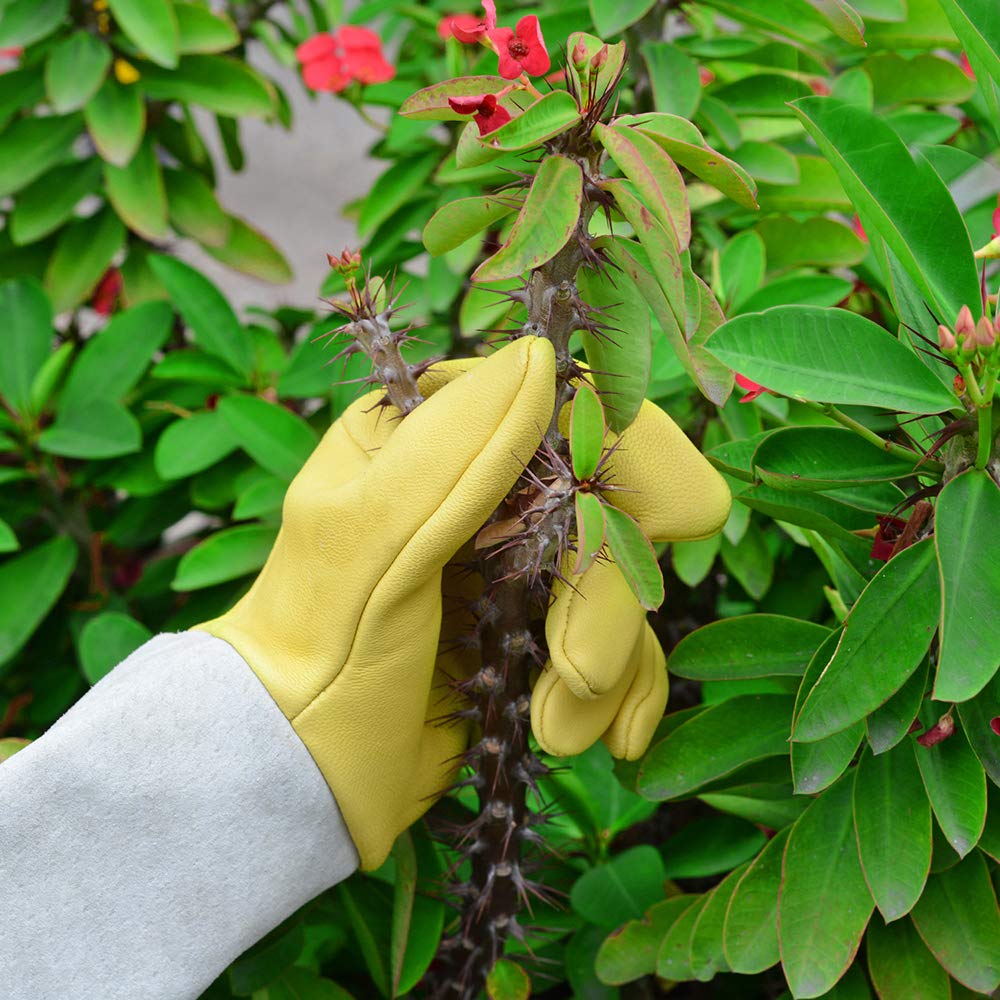 Thumbnail 3 de UneedMe Guanti da giardino in pelle: protezione extra per rose, rovi e piante spinose