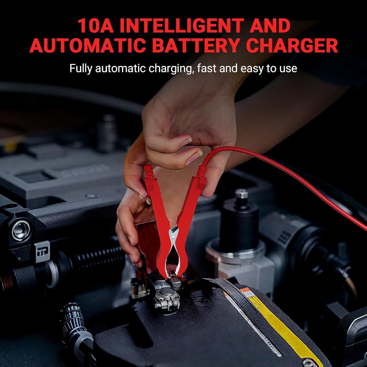 Detalle 2 de Autobatterie Ladegerät 12V LiFePO4 10A
