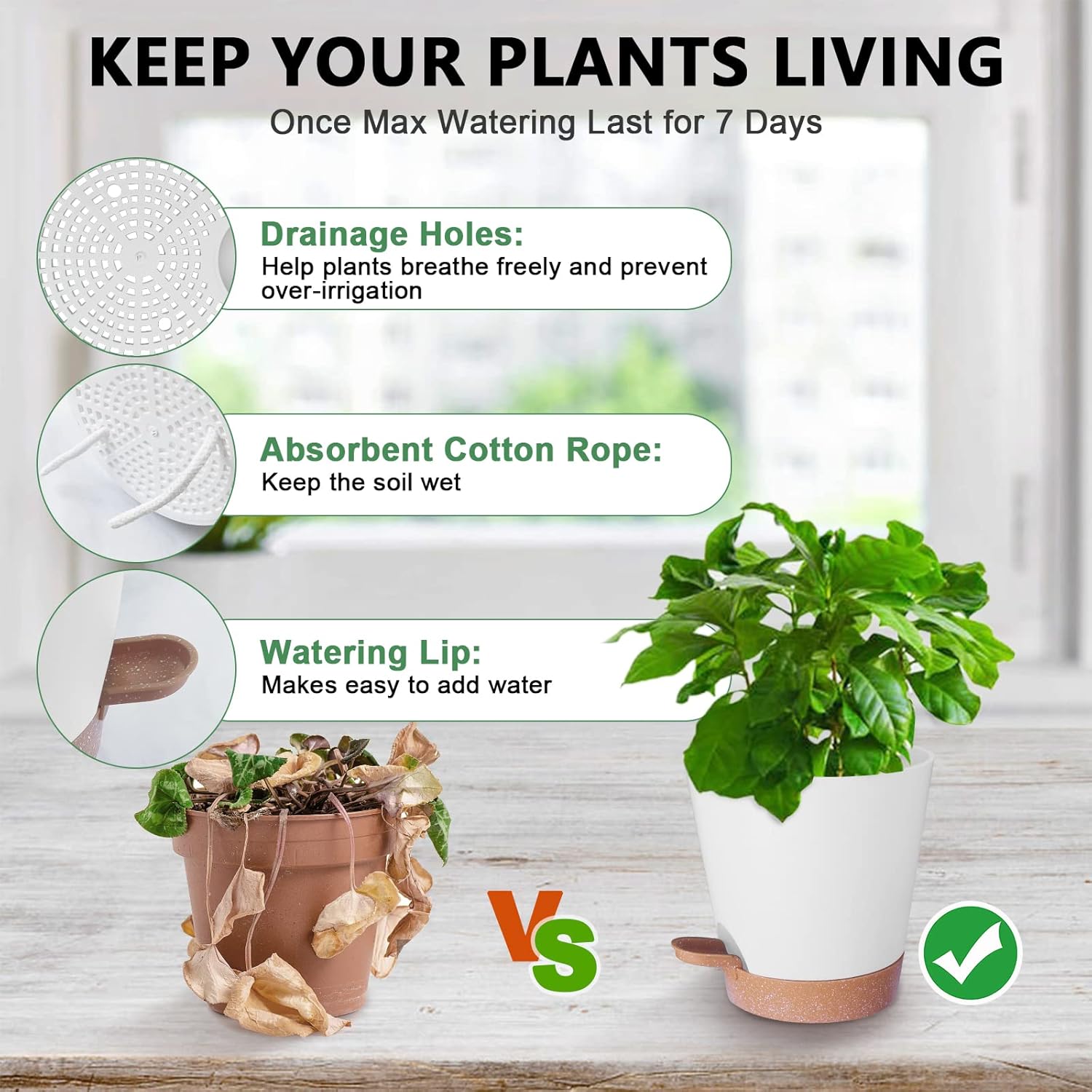 Thumbnail 2 de Idealife Macetas autorriego juego 5 piezas 17,8 cm