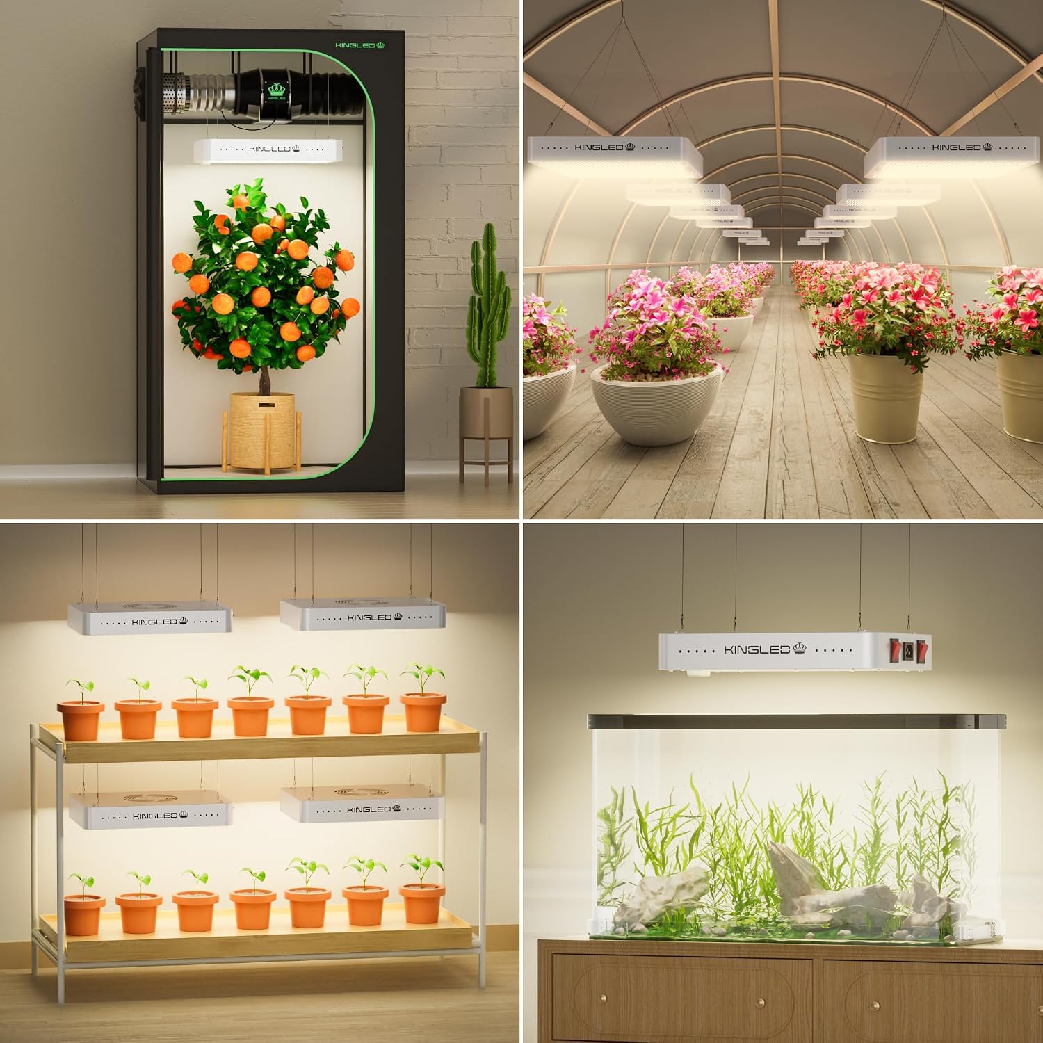 Thumbnail 5 de KingLED Grow Light 200W
