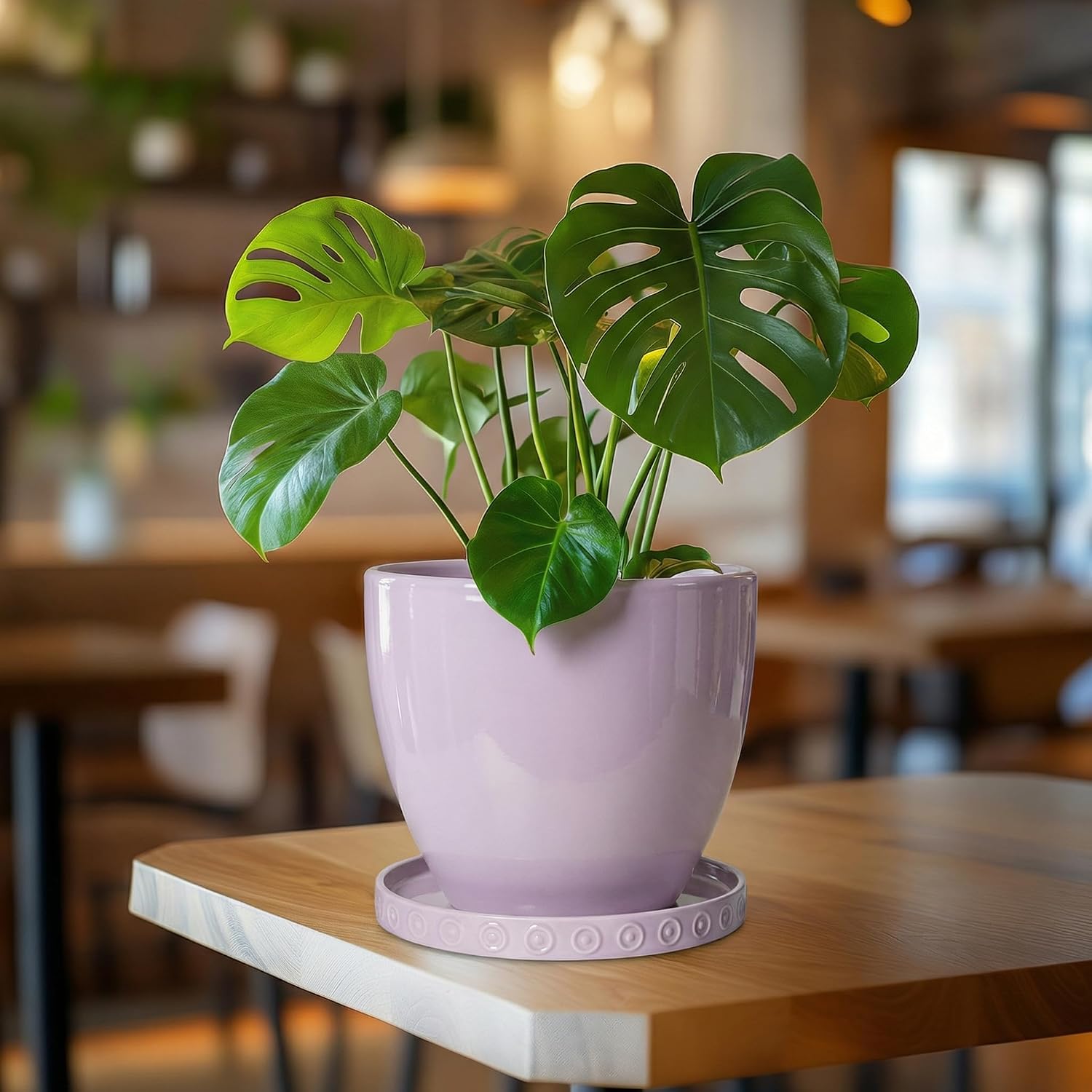 Detalle de Eightpot Ceramic Plant Saucer, 7.5-Inch
