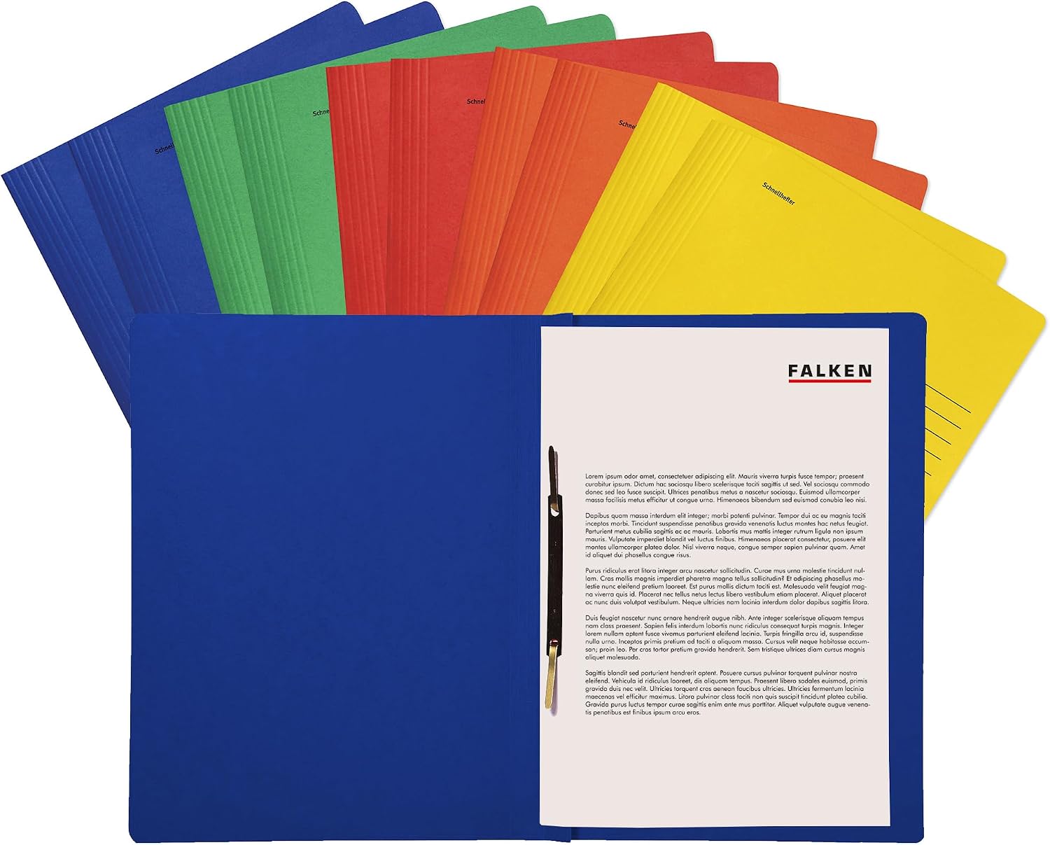 Detalle de Falken Cartelline in cartoncino riciclato – 10 pezzi assortiti (DIN A4, Blauer Engel)