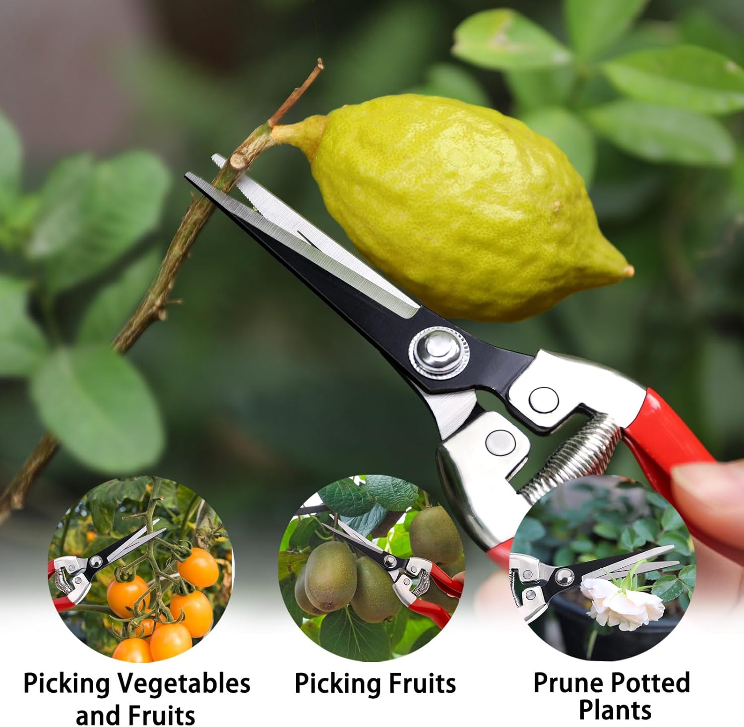 Thumbnail 5 de Kynup Garden Secateurs 3-Piece Set
