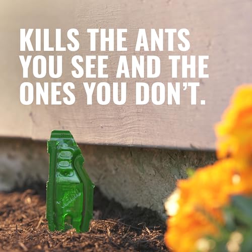 Detalle 2 de Terro Outdoor Liquid Ant Bait Stakes, 12-Pack – Ready-to-Use Outdoor Ant Killer Trap