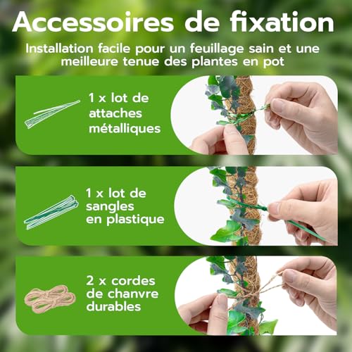 Detalle de Wigearss 2 Pièces Tuteur Plante Grimpante en Coco sur Piquet 60 cm – Support flexible pour Monstera et Vignes d’intérieur