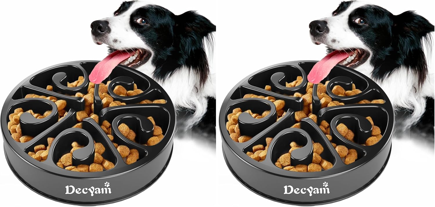 Thumbnail 6 de Decyam Slow Feeder Dog Bowl for Slow Eating (Non-Skid, BPA-Free, Up to 2 Cups)