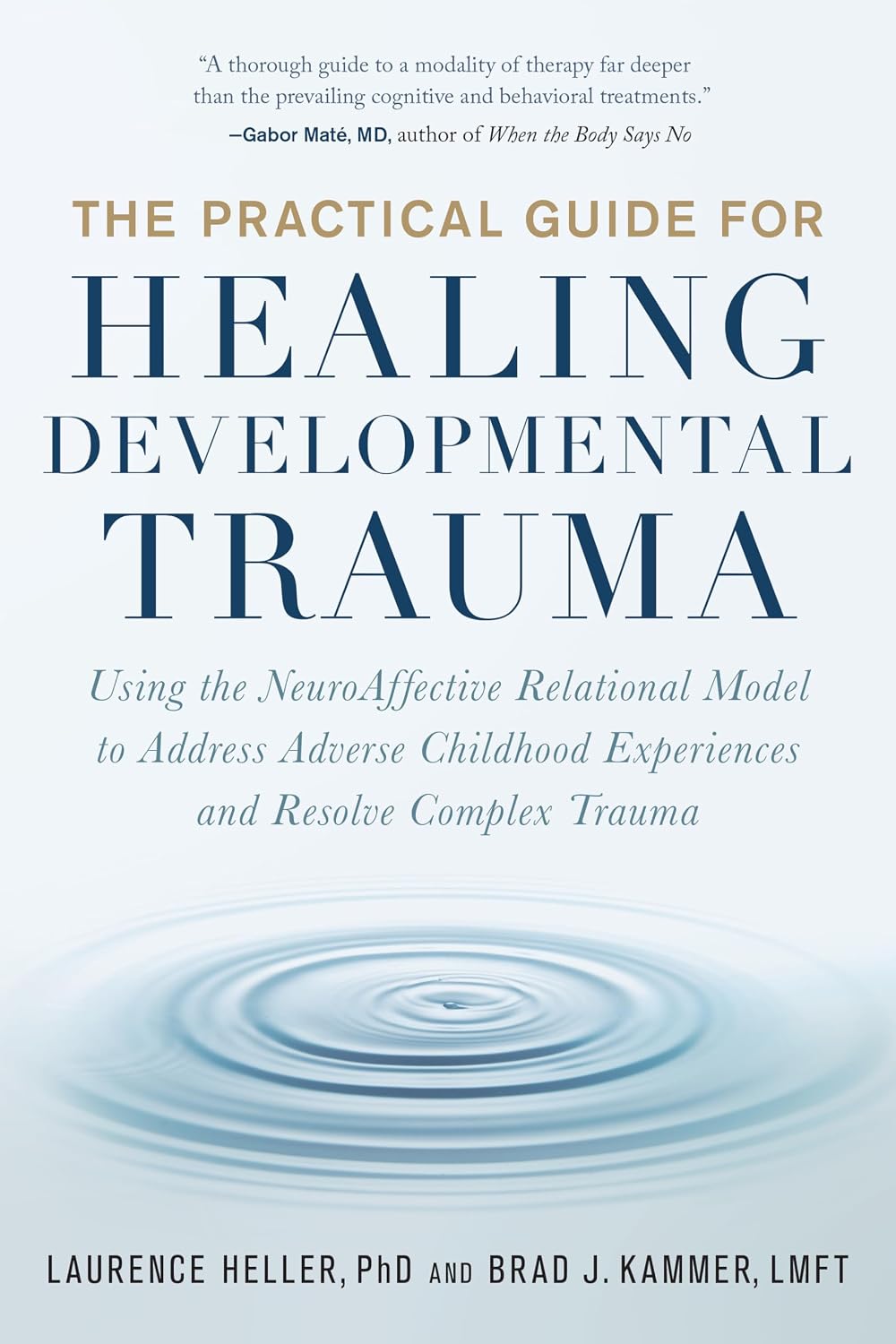 Detalle de The Practical Guide for Healing Developmental Trauma – poradnik o traumie rozwojowej i NARM