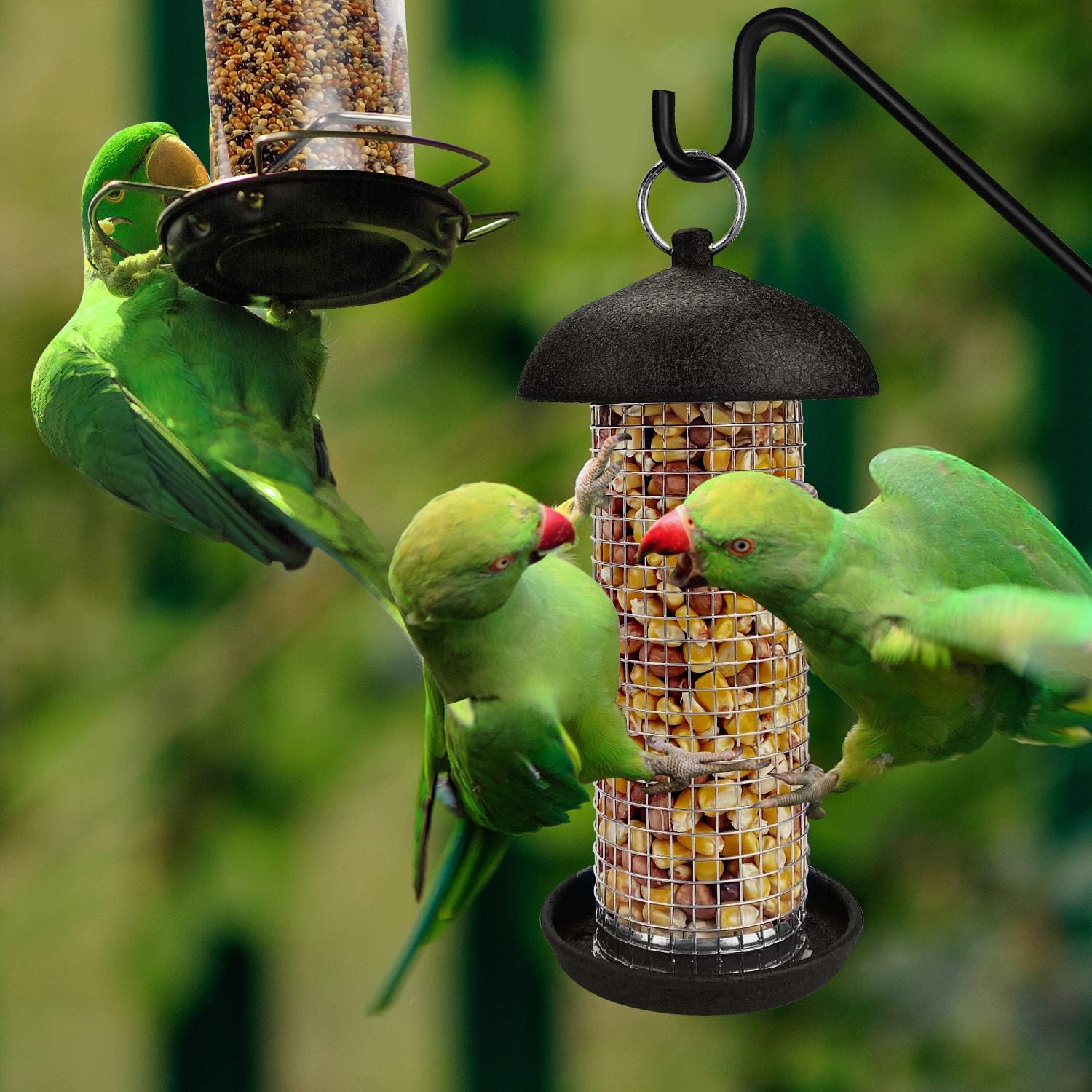 Detalle 2 de Urban Deco Bird Feeders for Small Birds (2-pack) – Hanging metal tube and peanut feeders