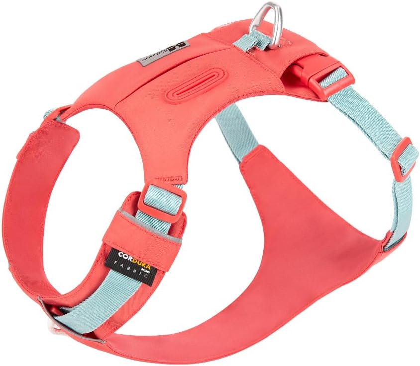 Imagen de Small Combination Dog Harness with Pocket (Turquoise) – Adjustable XS en OfertitasTOP
