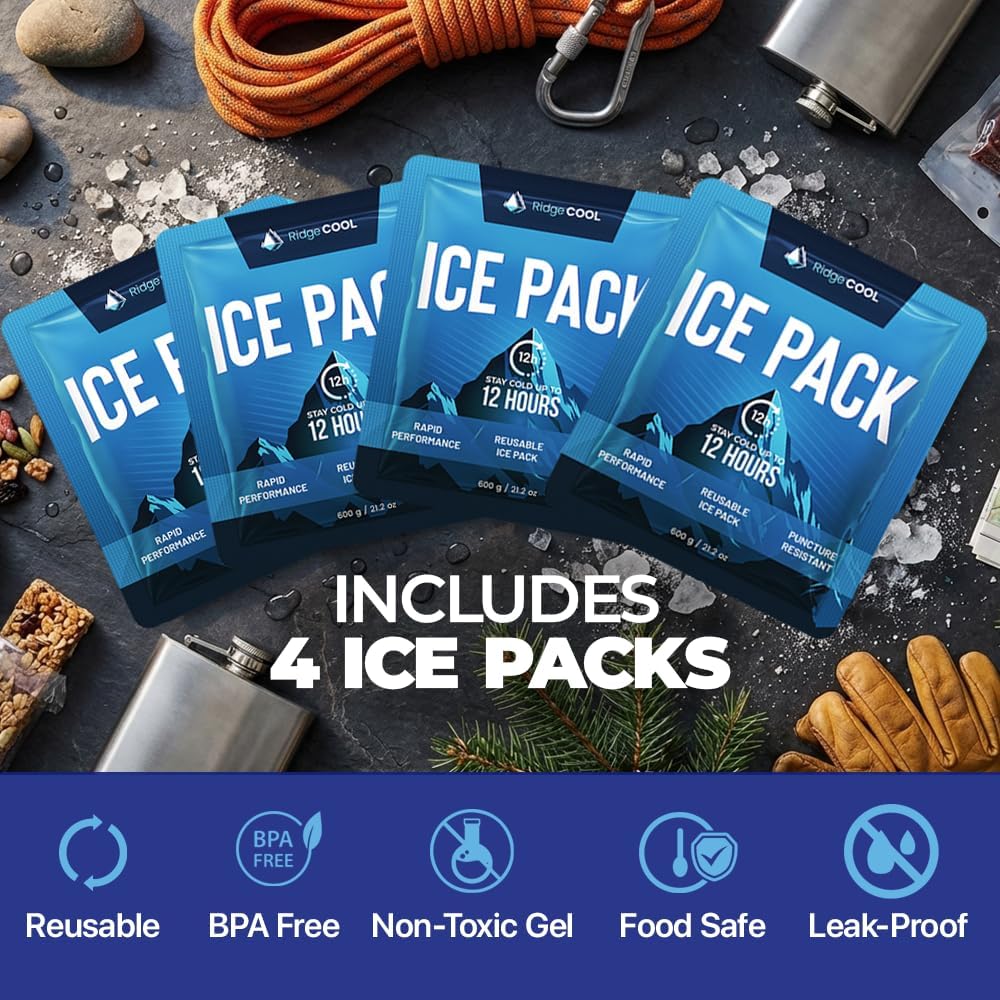Thumbnail 2 de RIDGECOOL Reusable Cooler Ice Packs, 4-Pack, Large 9.8 x 8.6-Inch Size
