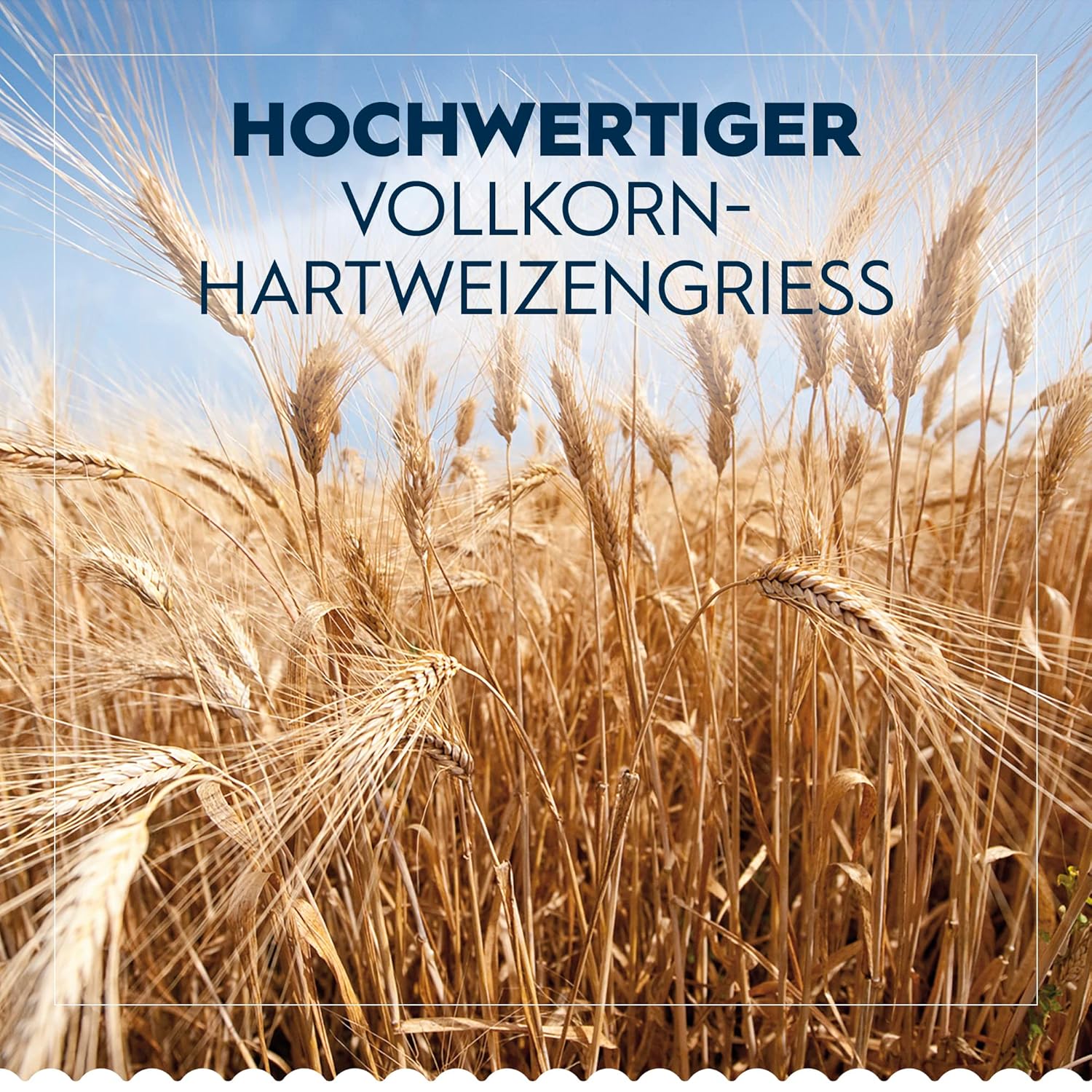 Thumbnail 3 de Barilla Pasta Integrale Linguine – Vollkorn-Hartweizen-Pasta, 500 g, Packung mit 5