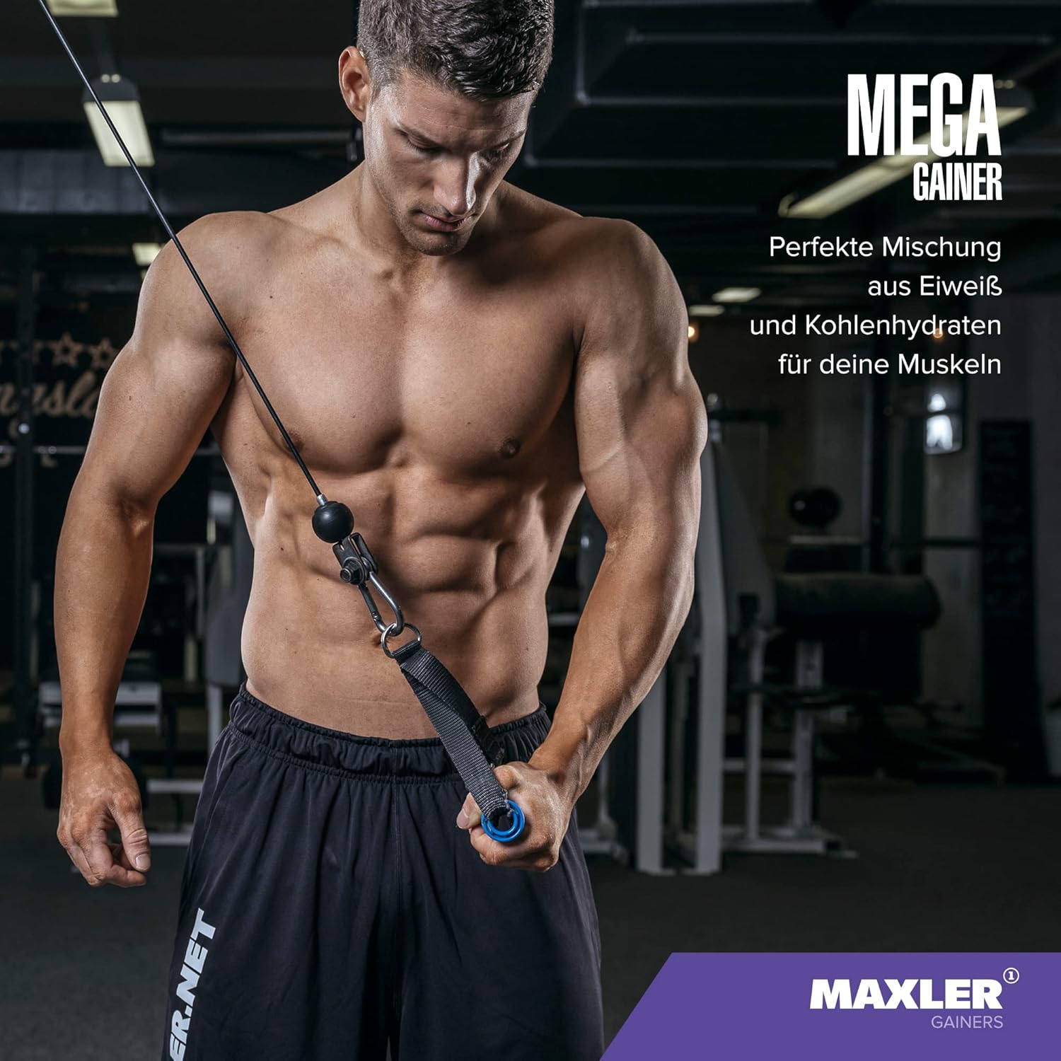 Thumbnail 6 de Maxler Mega Gainer Fraise – gain de poids en poudre (1000 g), protéines + glucides