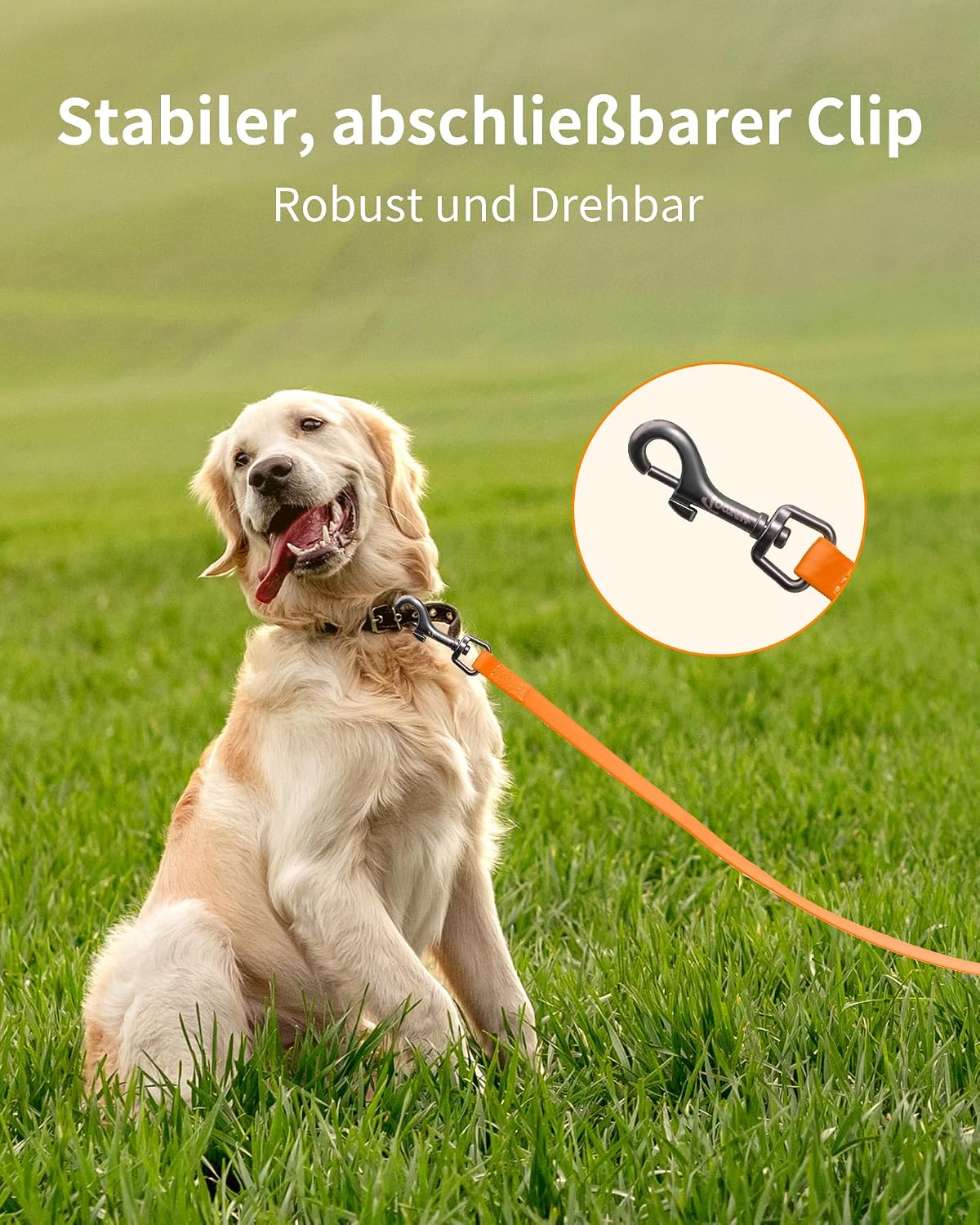 Thumbnail 5 de Toozey Schleppleine Hund 5–20 m Neon Orange