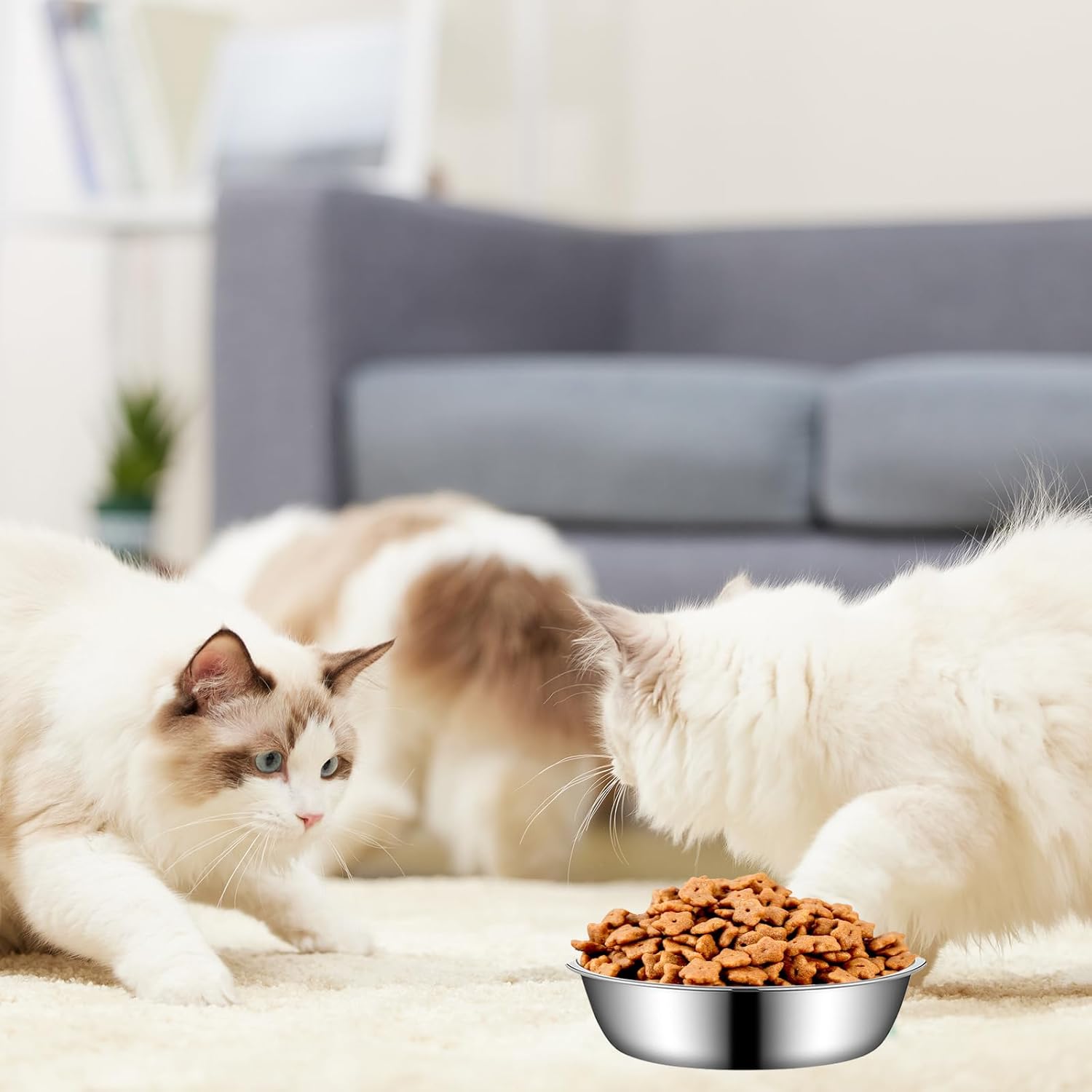 Thumbnail 6 de LLMSIX 3 Pcs Stainless Steel Cat Food Bowl – Durable, Shallow and Dishwasher Safe