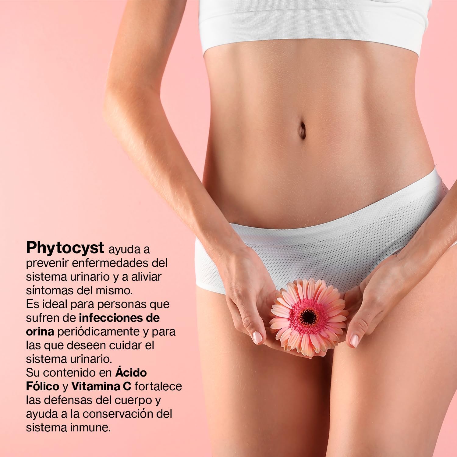 Detalle 2 de Drasanvi PHYTOCYST 120 mg PAC-A