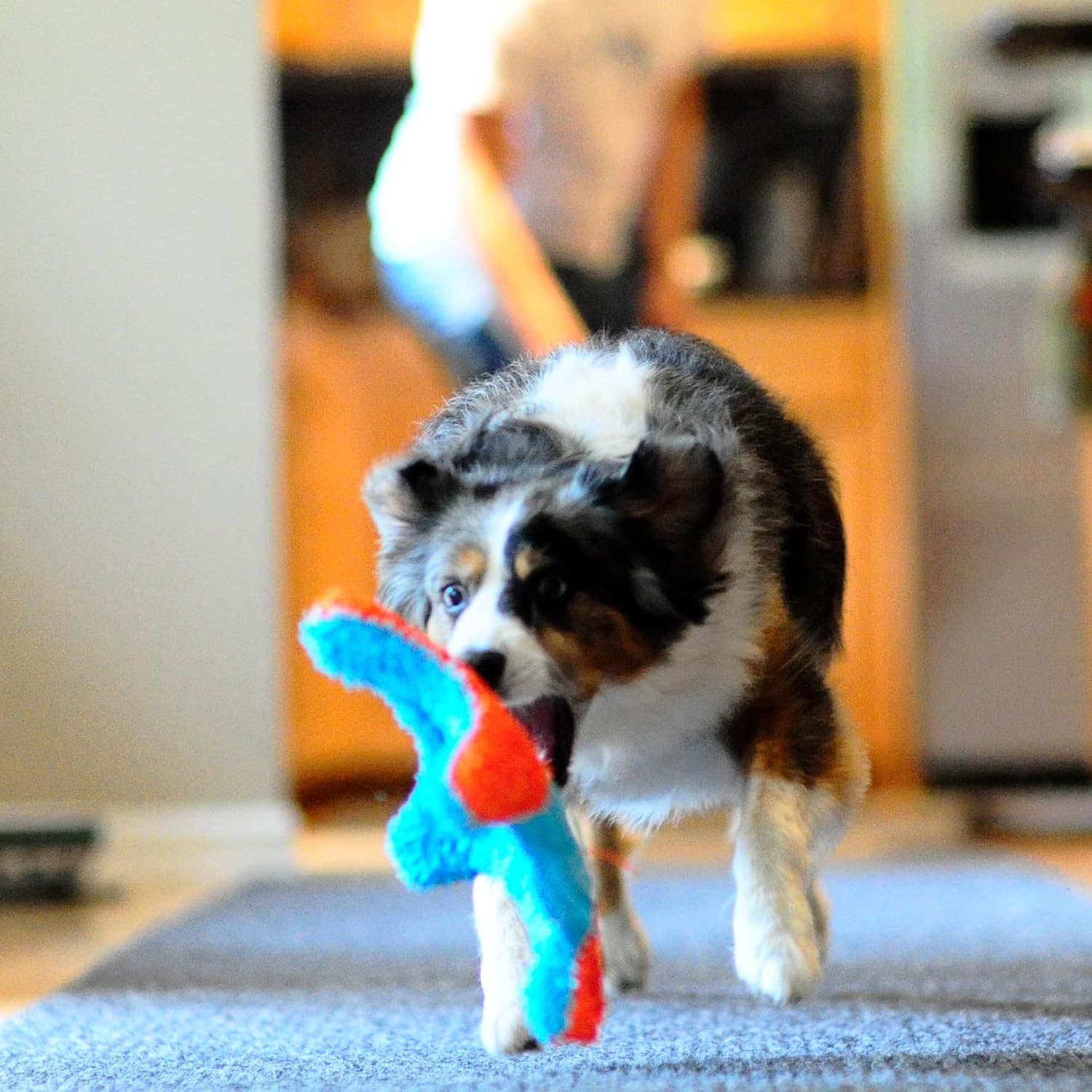 Detalle 2 de Chuckit Indoor Squirrel jouet pour chien