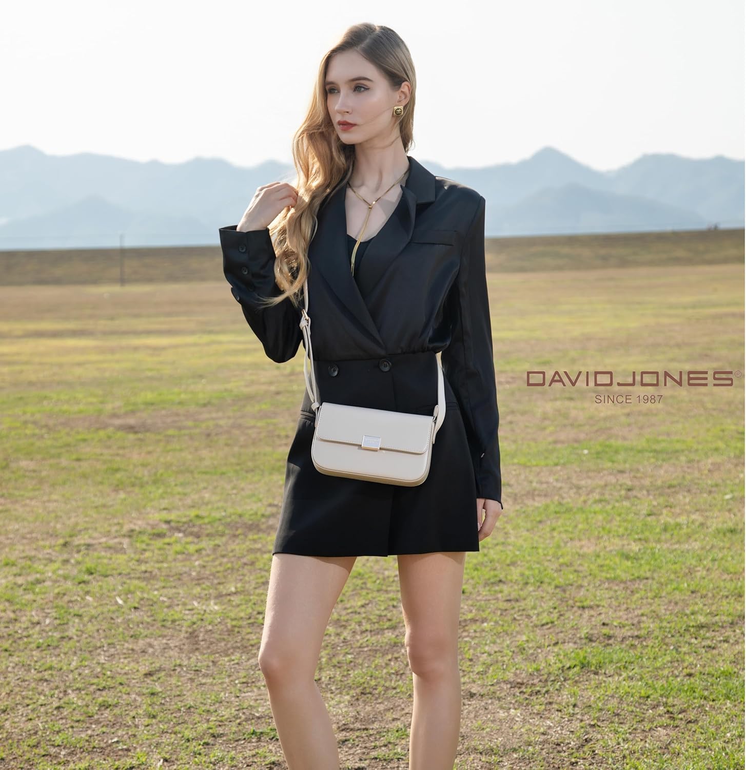 Thumbnail 1 de David Jones Petit sac bandoulière 22×13 cm