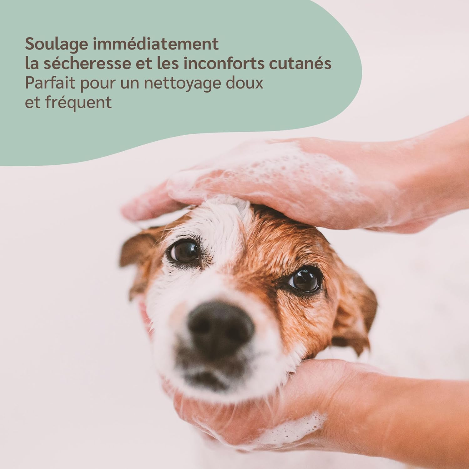 Thumbnail 3 de AMUSI Shampoing Chien Neutre 250ml