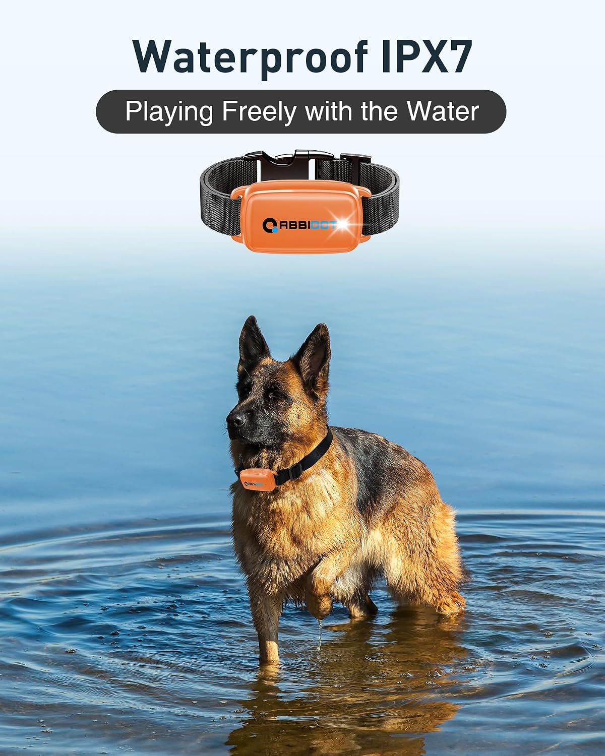 Thumbnail 6 de ABBIDOT Dog Training Collar, 5000 ft