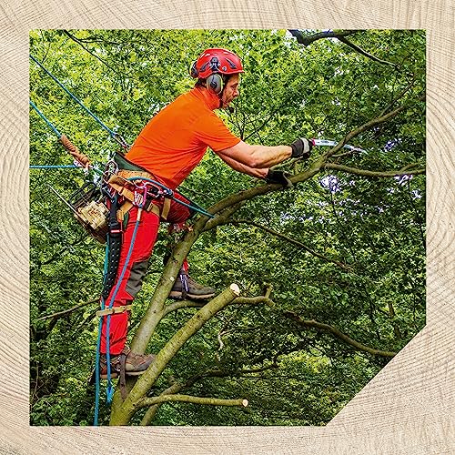 Thumbnail 6 de Oregon Sierra Manual Curva 13"