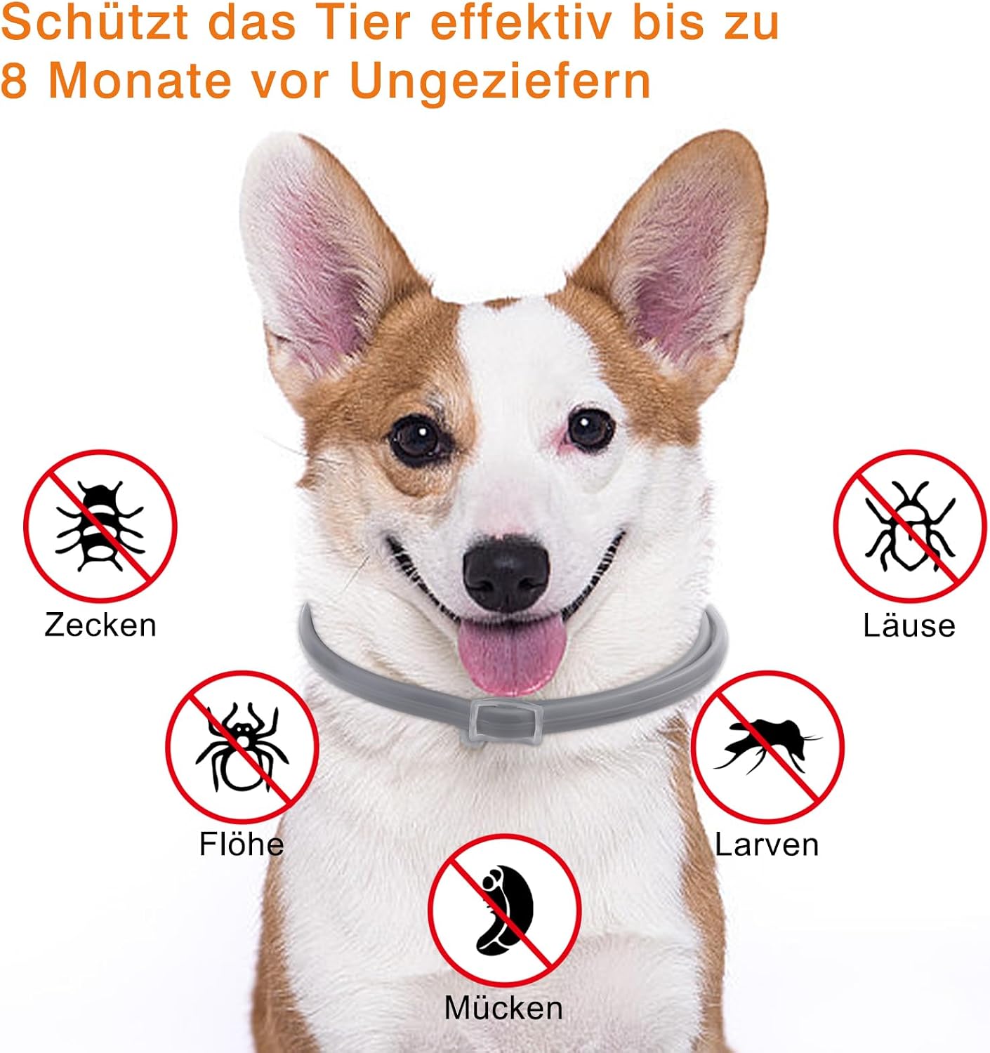 Thumbnail 2 de DEWEL Zeckenhalsband 63,5 cm für Hunde – 8 Monate Schutz