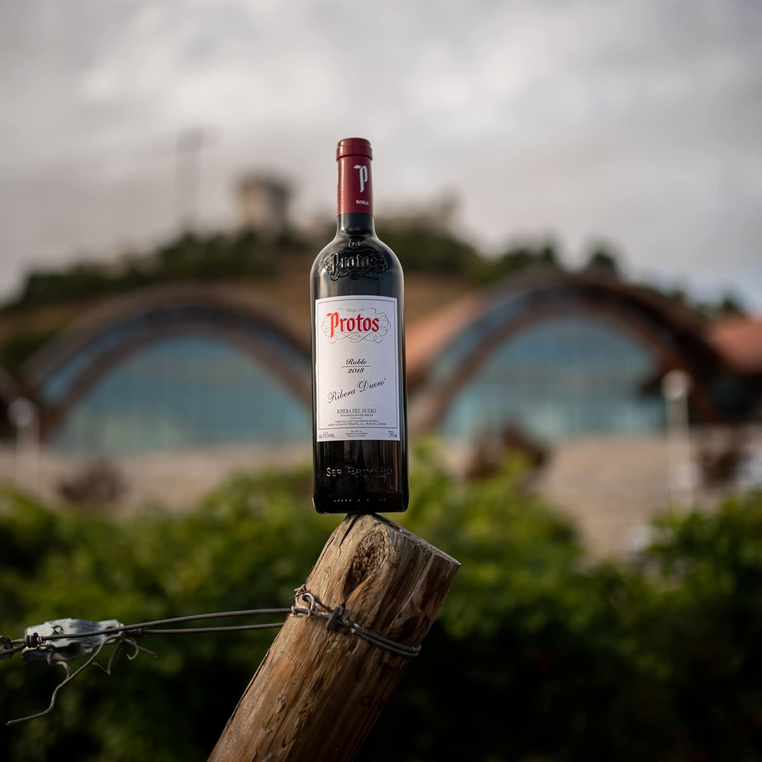 Thumbnail 6 de Protos Roble Tempranillo - Estuche Vino Tinto 🍷 (2 botellas)