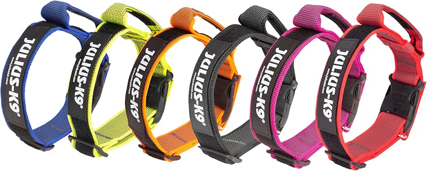 Thumbnail 6 de Collar Color & Gray 50 mm ajustable Negro‑Gris