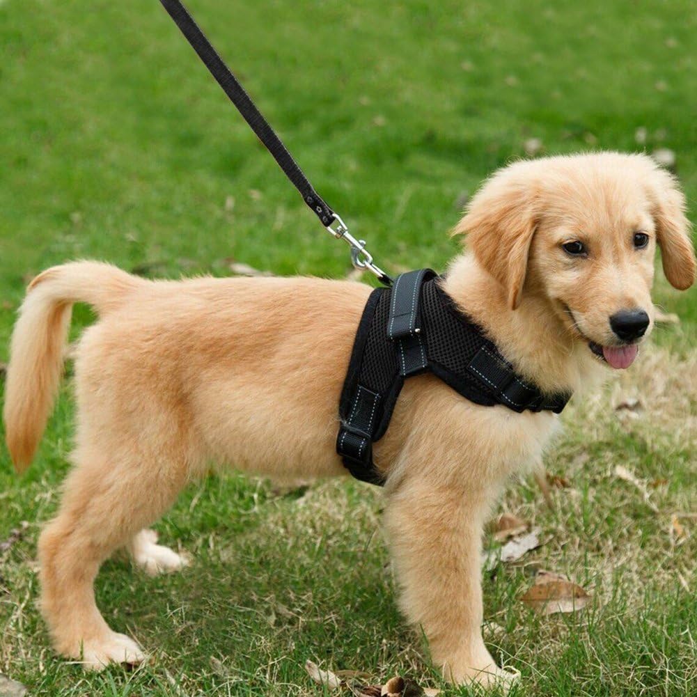 Thumbnail 6 de Dog Harness Comfort Soft Breathable Adjustable Mesh Pet Chest Strap – Large (Black)