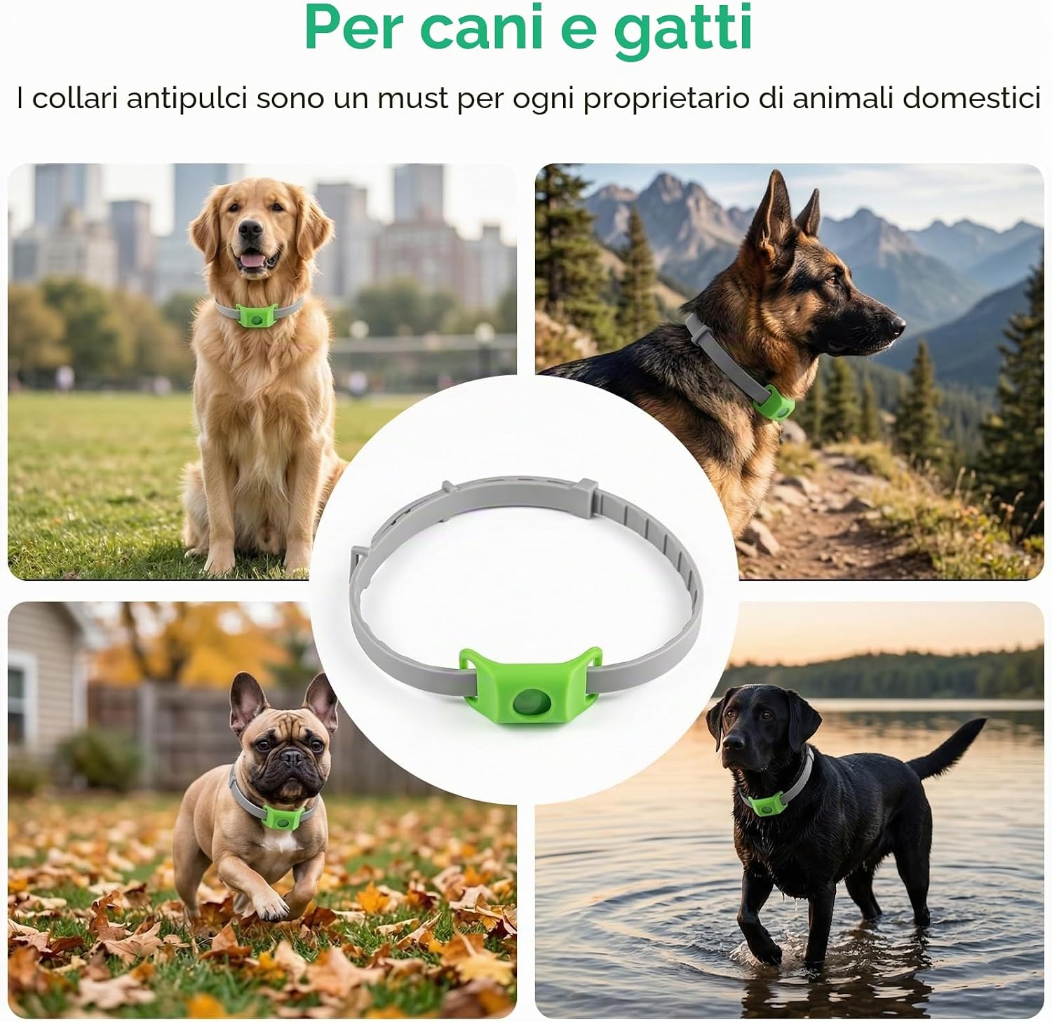 Detalle de Collare Antipulci Cane impermeabile e naturale: protezione multi-strato, 55 cm adjustable