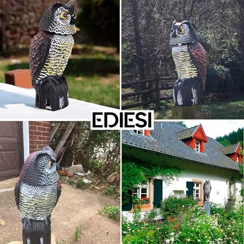 Thumbnail 4 de Ediesi Búho Espanta Palomas – Ahuyentador visual exterior con cabeza giratoria 360°