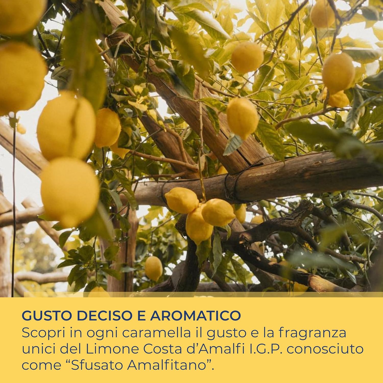Thumbnail 4 de Perle di Sole Caramelle dure al Limone Costa d’Amalfi I.G.P. con olio essenziale di limone, 200 g