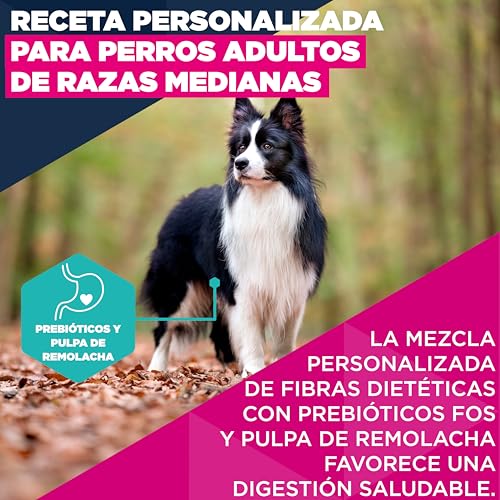 Thumbnail 2 de Eukanuba alimento pollo fresco 15 kg